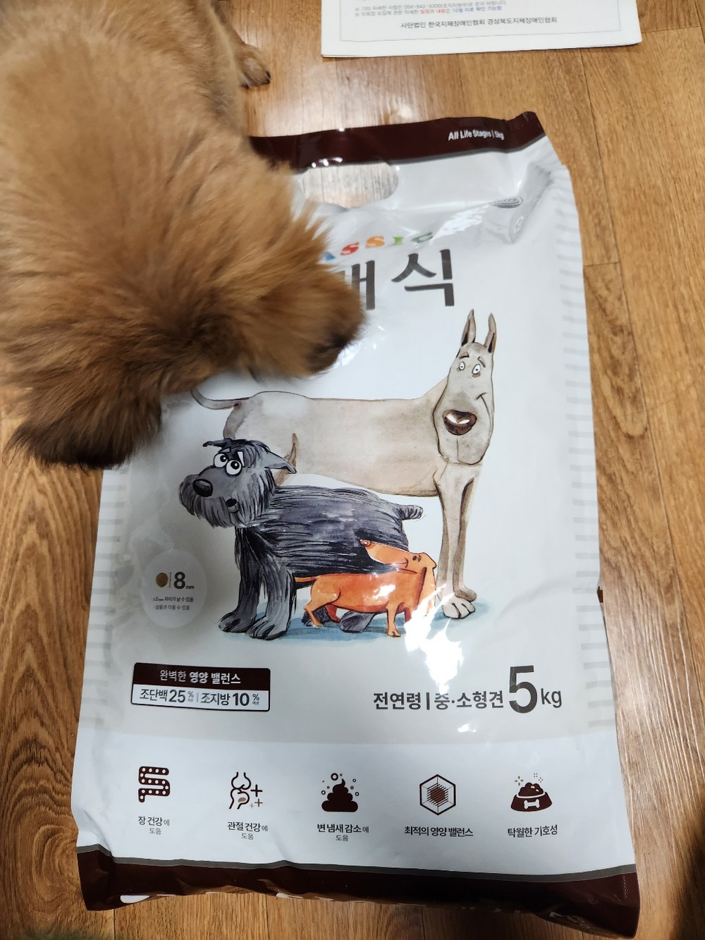도그랑 전연령 강아지 클래식 건식사료 구매 후기 이미지