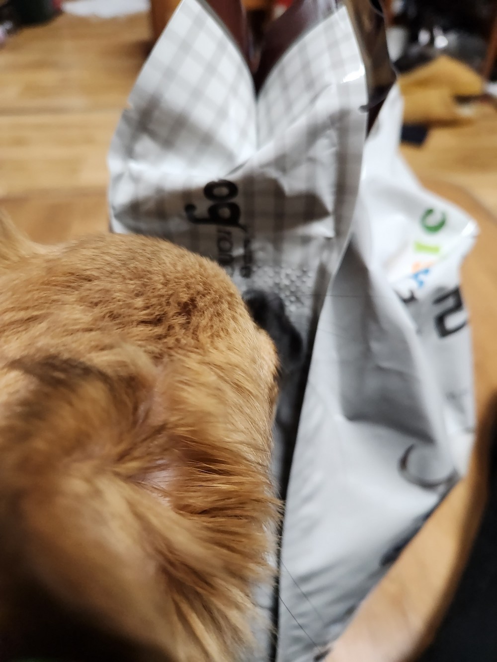 도그랑 전연령 강아지 클래식 건식사료 구매 후기 이미지